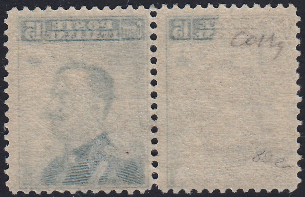 CG180 - 1906 - Regno d'Italia, Michetti c. 15 grigio nero I tipo, coppia orizzontale con decalco nuova gomma integra (80e)
