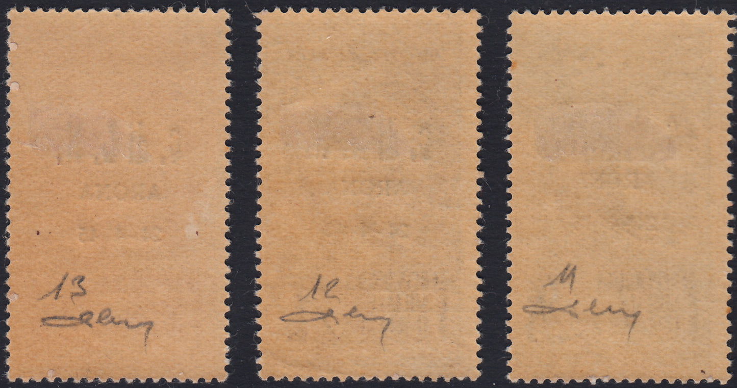 CLN Arona - Fratelli Bandiera L. 2.50 carmine horizontal pair of which one with variety (12 + 12b)