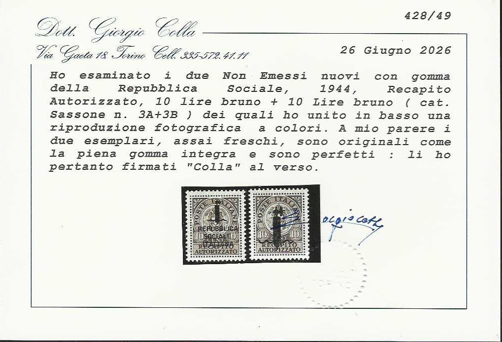 CG296 - R.S.I. Recapito Autorizzato, Non Emessi, 10c. grigio bruno soprastampa "k" e "l" nuovi con gomma integra (3A, 3B)