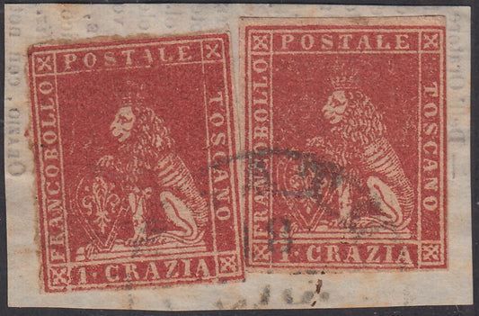 CG2 - 1857 - Leone di Marzocco, 1 cazia carminio chiaro due esemplari su carta bianca e filigrana linee ondulate usati su frammento (12)