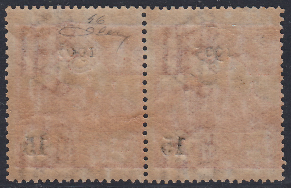 CG53 - 1905 - Stemma della Repubblica, c. 15 su c. 20 arancio, coppia orizzontale di cui uno con "cifra 5 in corsivo" pos. 4 del foglio nuova con gomma integra (46 + 46b)