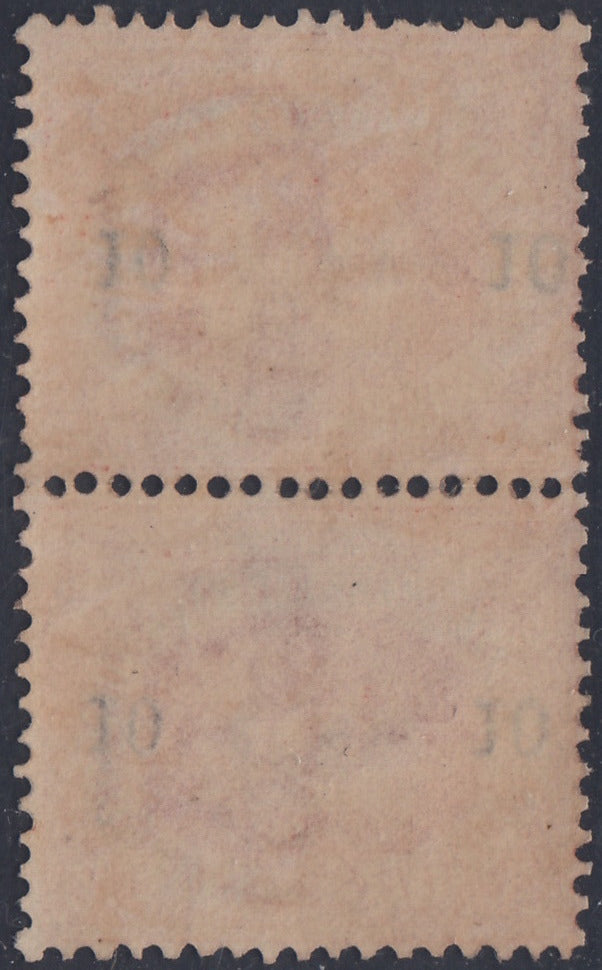 CG58 - 1892 - Coat of arms of the Republic, 10c. on 20c. red II type new vertical pair with intact rubber (