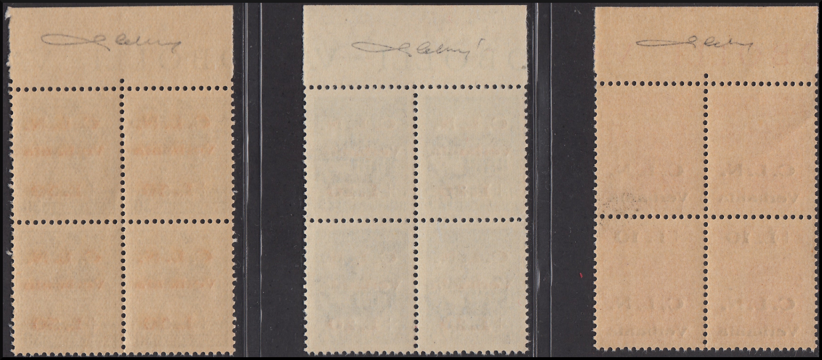 CLN15 - 1945 - CLN Verbania, francobolli di Regno soprastampati "CLN Verbania" in quartine nuove con gomma integra (1/3)