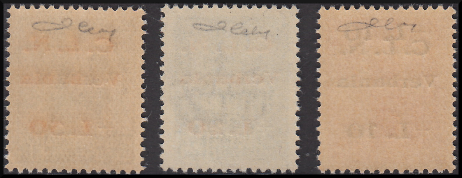 CLN16 - 1945 - CLN Verbania, francobolli di Regno soprastampati "CLN Verbania" serie completa di tre valori nuova con gomma integra (1/3)