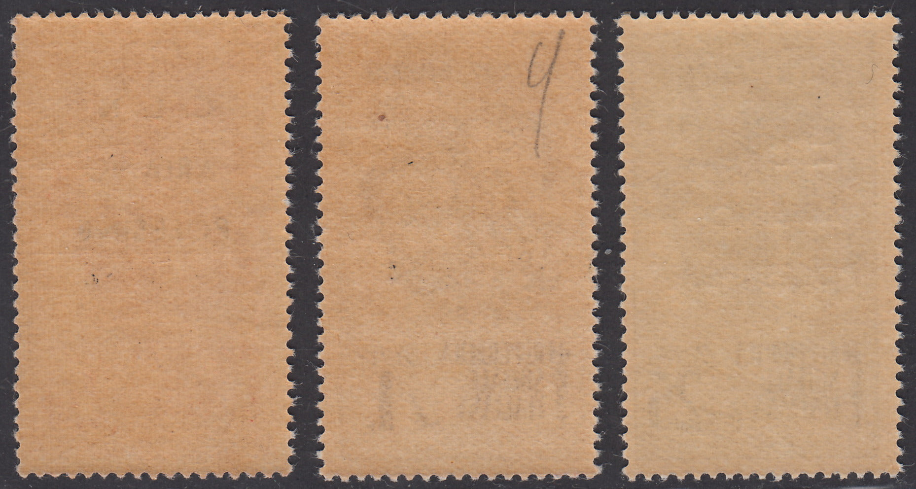 CLN28 - 1944 - RSI stamps overprinted "CLN ARIANO POLESINE" series of three stamps with overprints of different colors, new with intact gum (Unif. 38/40).