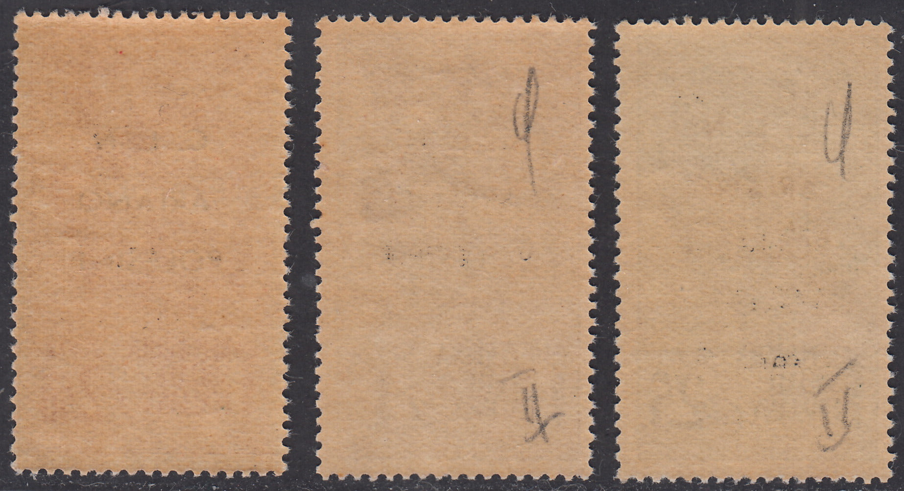 CLN28 - 1944 - RSI stamps overprinted "CLN ARIANO POLESINE" series of three stamps with overprints of different colors, new with intact gum (Unif. 38/40).