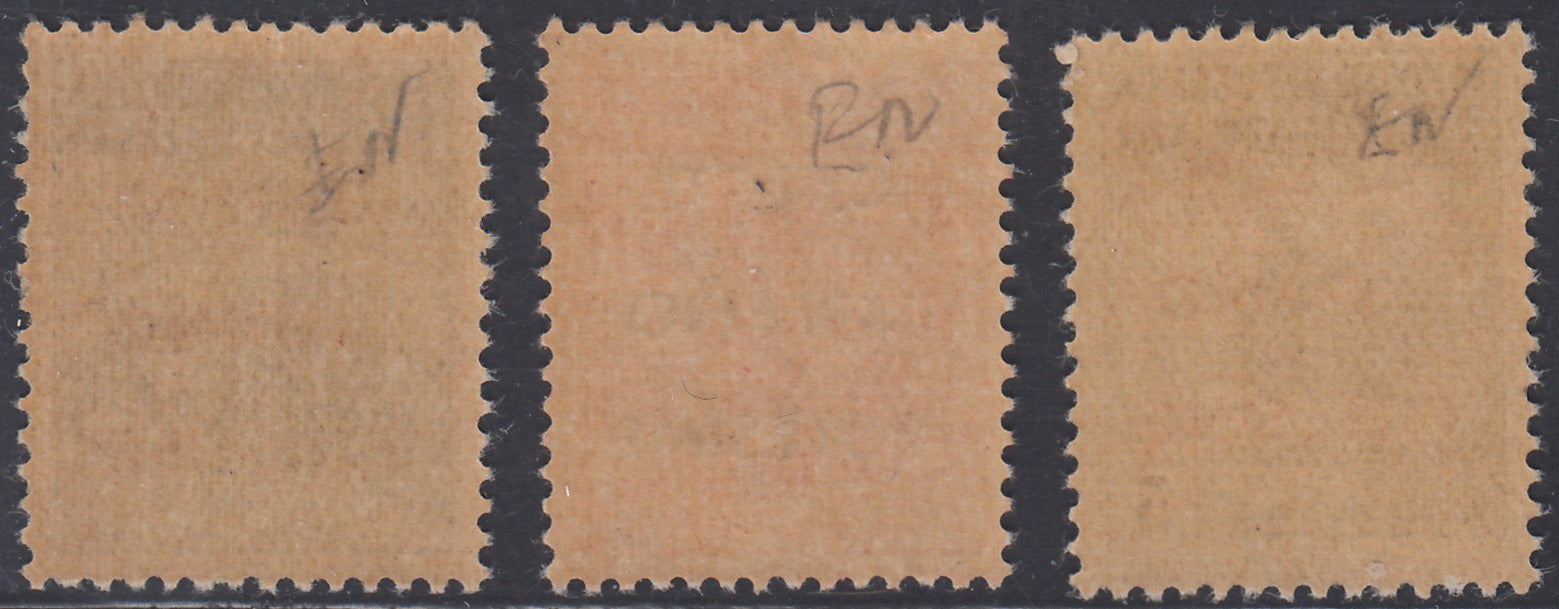 CLN28 - 1944 - RSI stamps overprinted "CLN ARIANO POLESINE" series of three stamps with overprints of different colors, new with intact gum (Unif. 38/40).