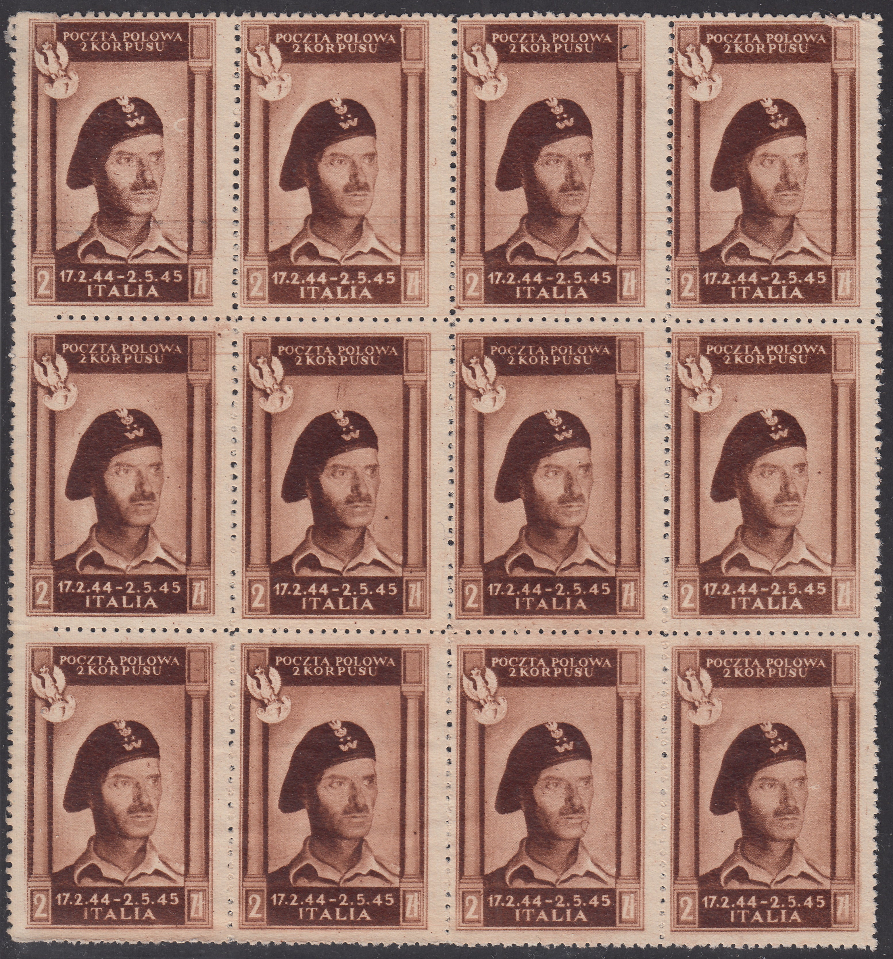 CP195 - 1946 - Corpo Polacco, vittorie polacche in Italia serie su carta bianca, spessa e di buona qualità, 2z. bruno cioccolato scuro blocco di 12 esemplari nuovi non gommati (8a)