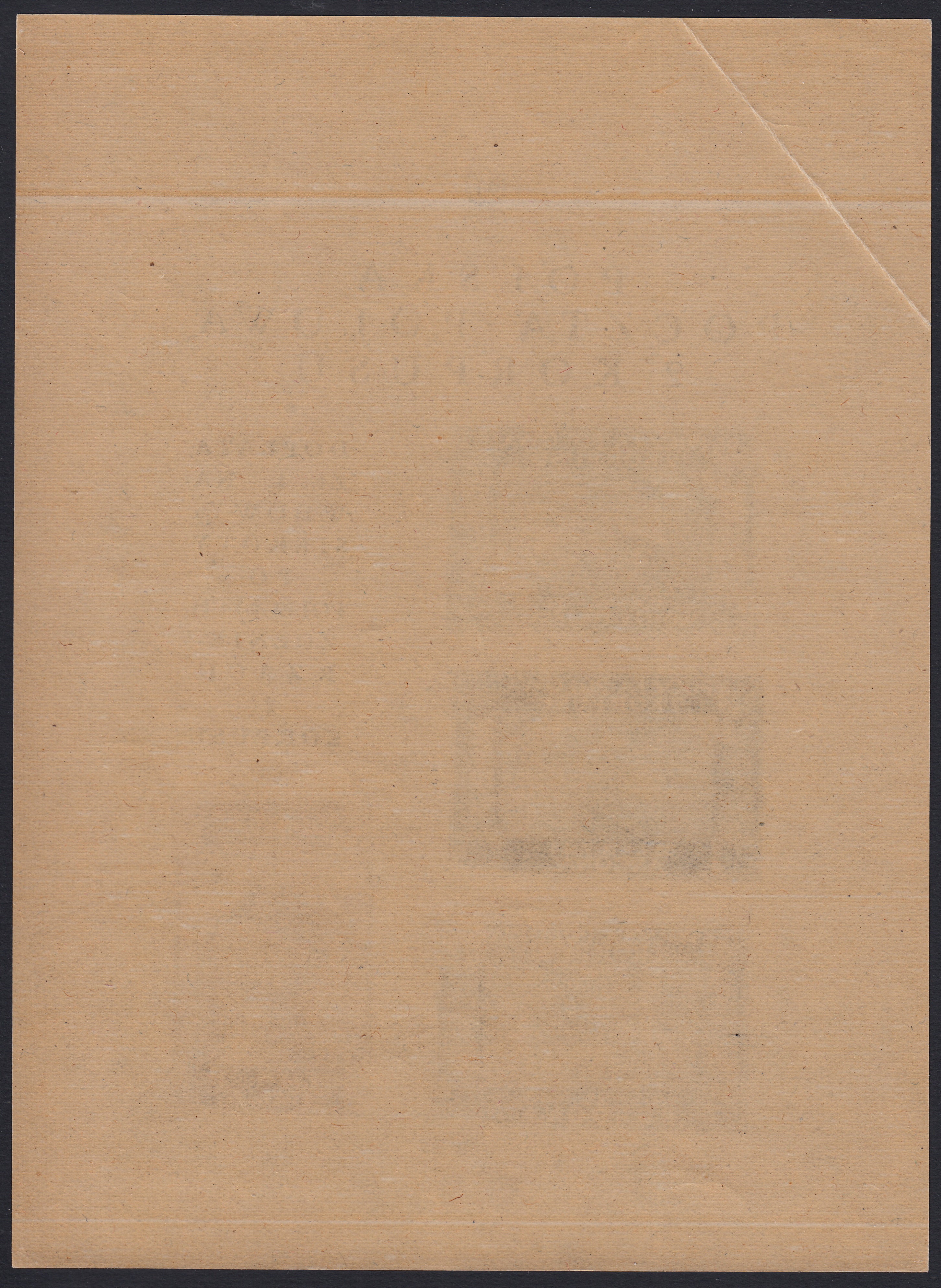 CP210 - 1946 - Corpo Polacco, vittorie polacche in Italia, francobolli n. 1A, 2A, 3A e 13Aa  stampati in foglietto di mm. 120 x 162 nuovo gomma integra (1).
