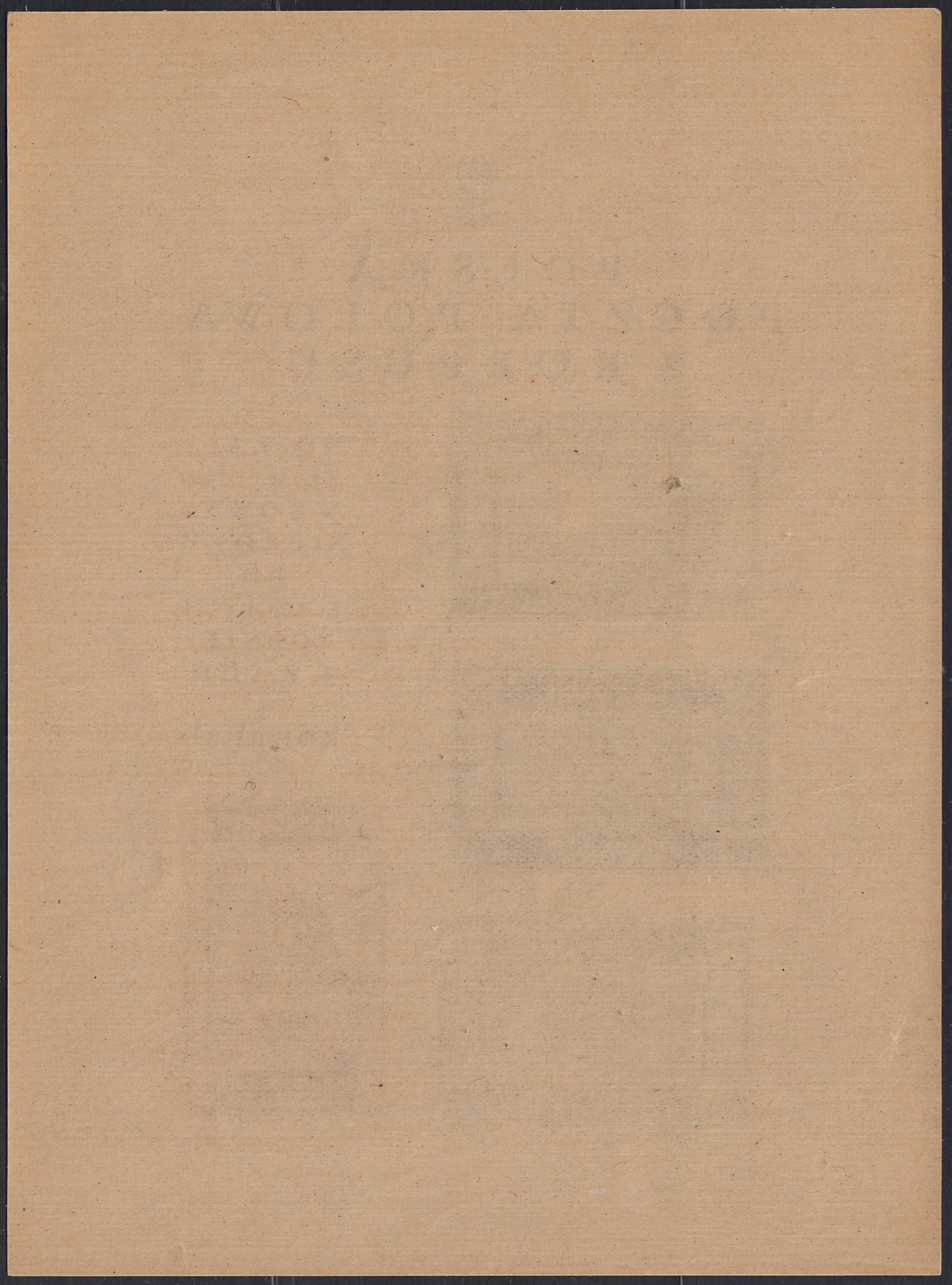 CP224- 1946 - Corpo Polacco, vittorie polacche in Italia, francobolli n. 1A, 2A, 3A e 13Aa  stampati in foglietto di mm. 120 x 162 nuovo gomma integra (1).