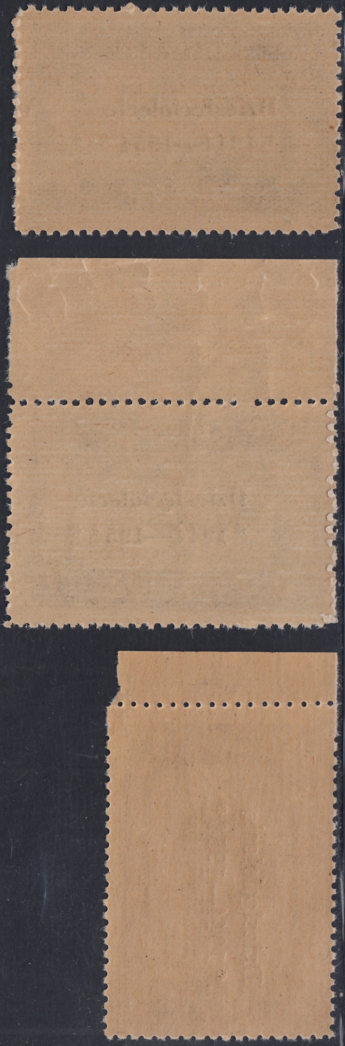 CP227 - 1954 - Governo Polacco di Londra, vittorie polacche in Italia serie di tre valori con soprastampa nera nuova gomma integra (1/3)