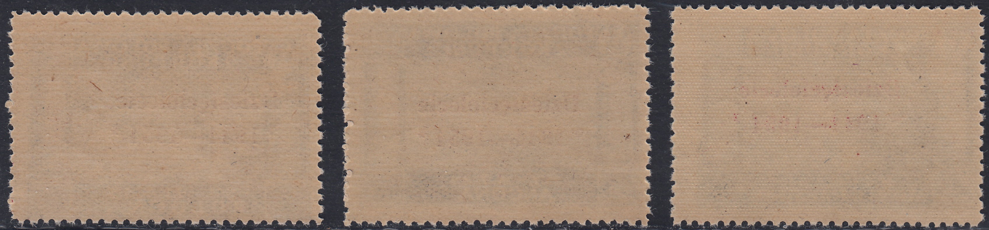 CP228 - 1954 - Governo Polacco di Londra, vittorie polacche in Italia serie di tre valori con soprastampa carminio nuova gomma integra (4/6)