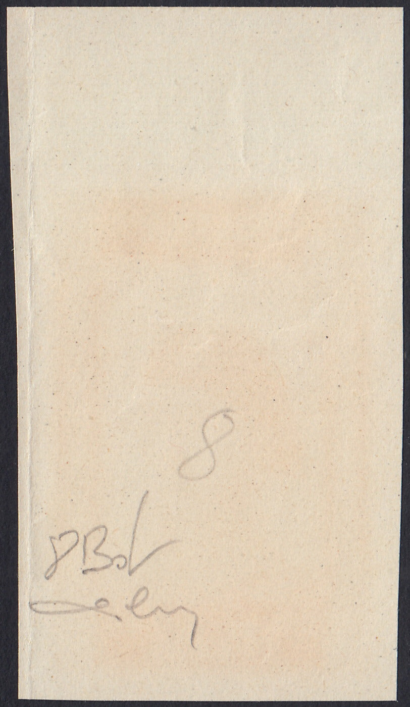 CP234 - 1946 - Effigie del Generale Anders, 2 Zt bruno giallastro non dentellato nuovo (8Bd)