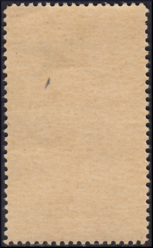 CP79 - 1946 - Corpo Polacco, francobolli di Soccorso di Guerra, esemplare da 1 lira (n. 23) in colore cambiato con soprastampa "POCZTA LOTNICZA", un aereo in volo e nuovo valore da L. 25 + 100 arancio e nero, nuovo gomma integra.(A3).