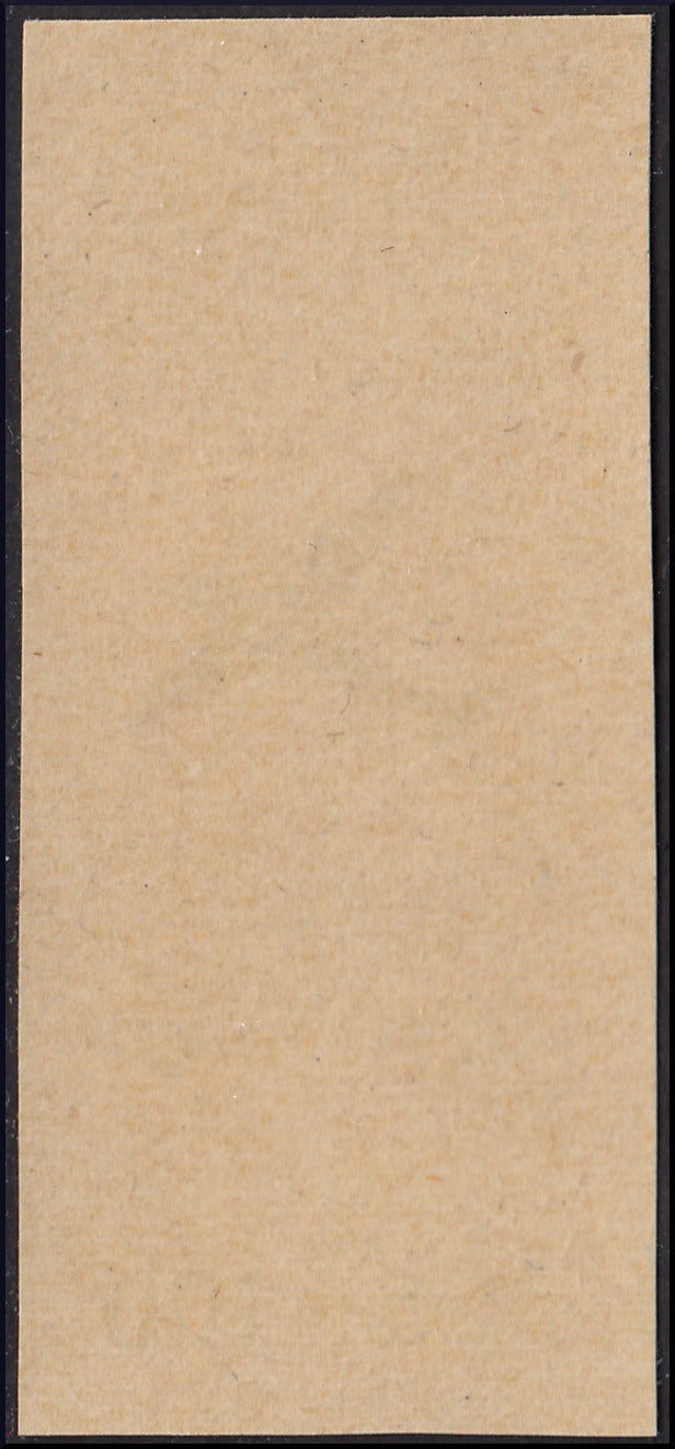 CP98 - 1946 - Corpo Polacco, francobolli di Soccorso di Guerra, esemplare da 1 lira (n. 23) in colore cambiato con soprastampa "POCZTA LOTNICZA", un aereo in volo e nuovo valore da L. 25 + 100 arancio e nero, non dentellato e nuovo gomma integra.(A3a).