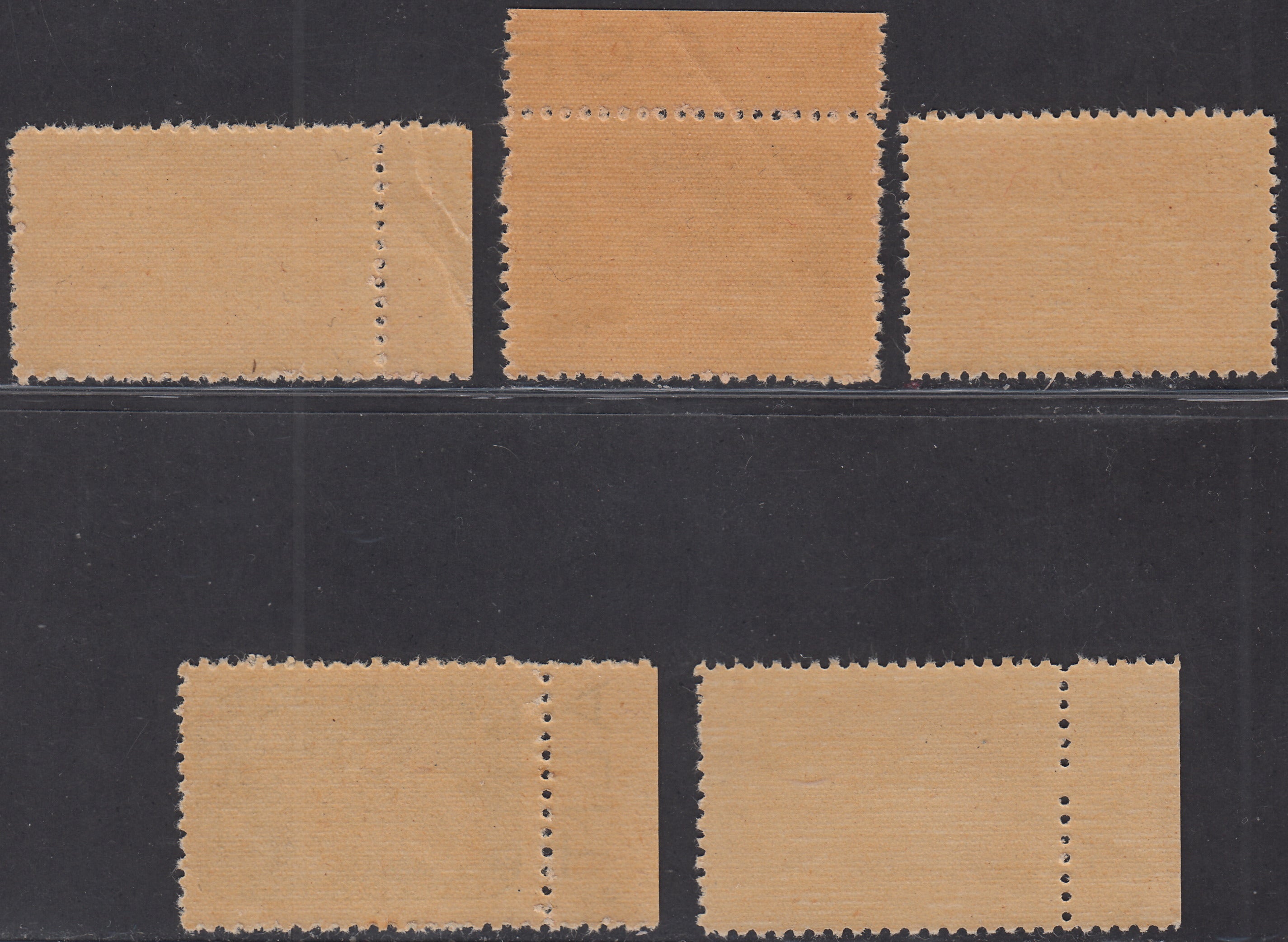 COR1 - Emissioni CORALIT, terza serie dentellata di cinque valori nuova gomma integra (8/12)