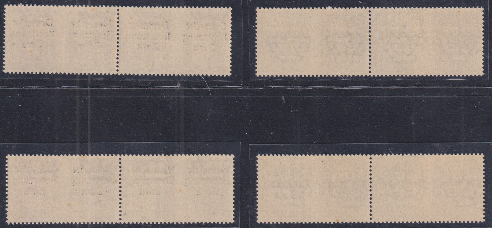 E12_557 - 1943 - Occupazione tedesca di Zara, Propaganda di guerra, serie di 4 valori in coppie orizzontali di tipo differente (Gotico + Elzeviro) nuove integre (20/23)