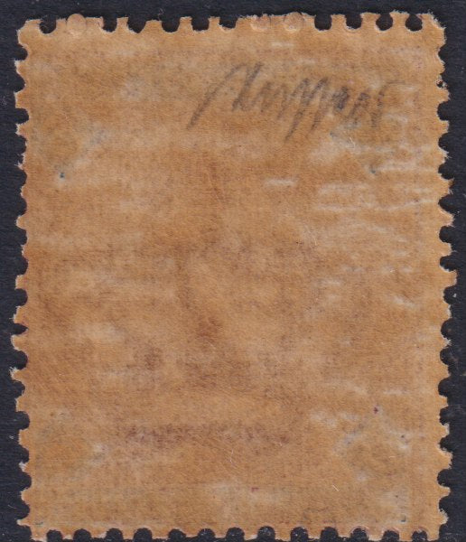 F32_137 - 1891/96 - Effigie di Umberto I, L. 5 carminio e azzurro nuovo con gomma integra (64).