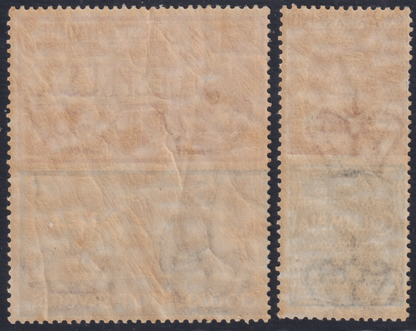 E7_189 - 1924/25 - Pubblicitari, i due valori non emessi, c. 30 arancio brunastro e verde "Columbia" e Espresso c. 60 rosso e azzurro "Baci Perugina" nuovi con gomma integra (20, 21).