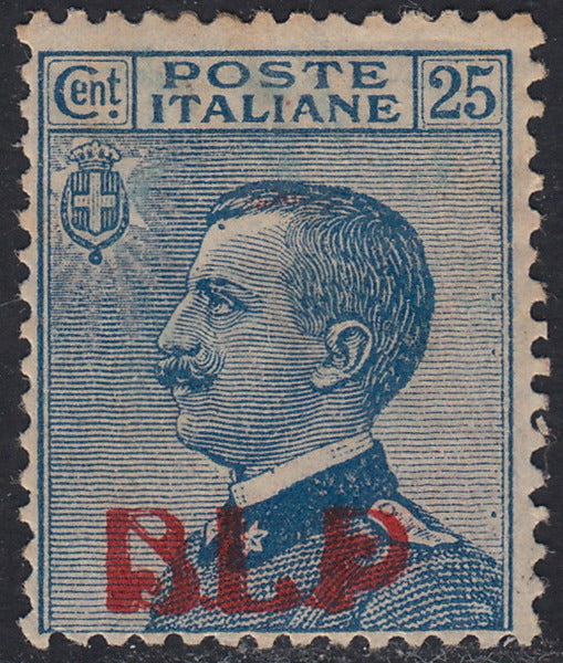 RN118 - 1921 - Michetti, c. 25 azzurro soprastampa BLP rossa del I tipo litografico nuovo con gomma originale. (3).