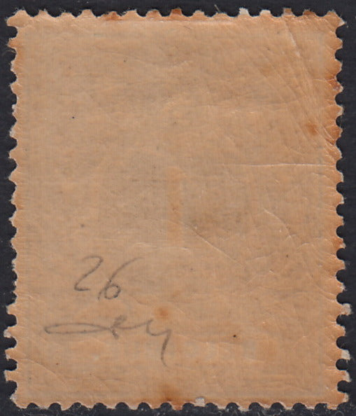 ECG252 - 1869/78 - Cifra, c. 1 verde nuovo con gomma originale (26)