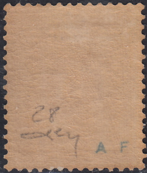ECG253 - 1869/78 - Cifra, c. 5 ocra nuovo con gomma originale (28)