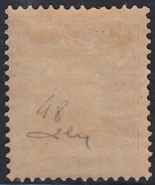 ECG268 - 1884/91 - Leopoldo II, dentellatura 14, 20c. azzurro su carta rosa nuovo con gomma (Y&T 48)