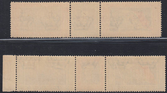 Egeo31 - 1933 - Crociera Balbo, tipo dei Triccici di Posta Aerea senza la soprastampa e con fondo differente, serie nuova con gomma integra (28/29)