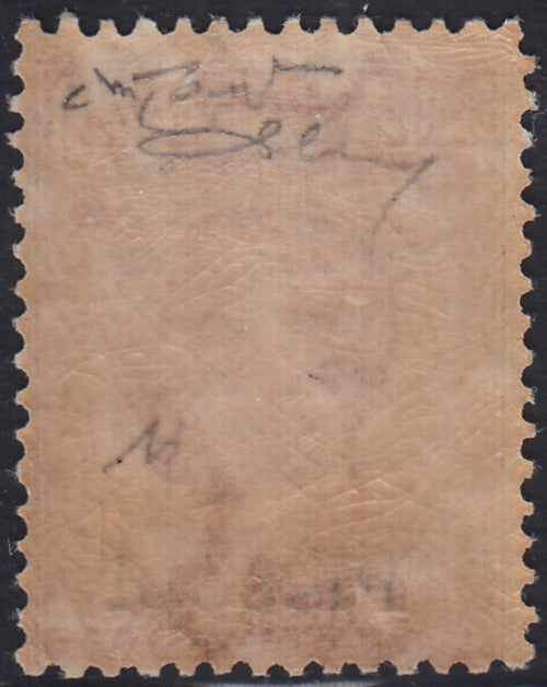 Egeo57 - 1921/22 - Francobollo di Regno c. 20 arancio soprastampato "Piscopi" con filigrana nuovo con gomma integra (11)