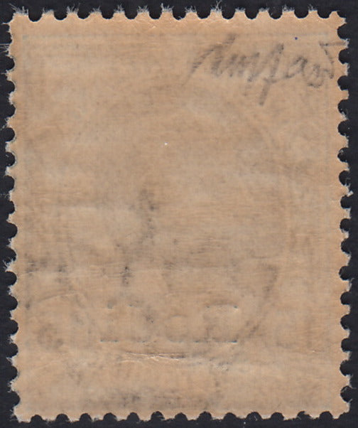 Egeo58 - 1918/22 - Francobollo di Regno c. 15 grigio soprastampato "Rodi" con filigrana nuovo con gomma integra (11)