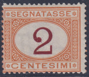 VEII32 - 1870 - Segnatasse, c. 2 ocra e violetto scuro nuovo con piena gomma integra,  (4/I).
