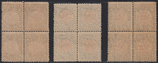 RN196 - 1921 - Annexation of Venezia Giulia complete set of three new stamps, intact in blocks of 4 copies (113/115). 