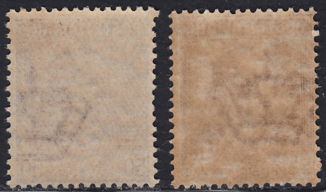 RN224 - 1928 - Parmeggiani series of two new values ​​with intact rubber (224/225). 