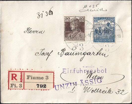 F202 -  1918 - Lettera affrancata con Ungheresi soprastampa a macchina mietirori 25f. azzurro + Zita 20 filler bruno scuro (11 + 25)