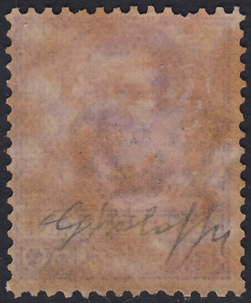 RN353 - 1910 - Serie Floreale, 50c. Malva nuovo con gomma originale, dentello corto in alto ma esemplare fresco e di buona centratura (76).