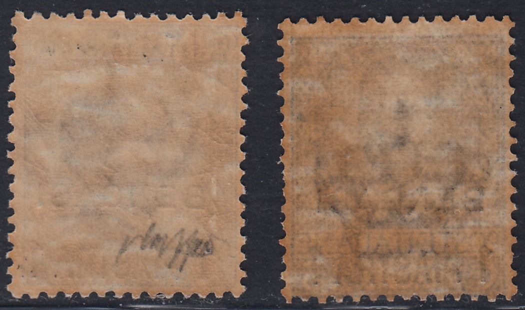 LevBengasi5 - 1901/11 - I due esemplari soprastampati "Bengasi" e nuovo valore nuovi con gomma originale (1, 2).