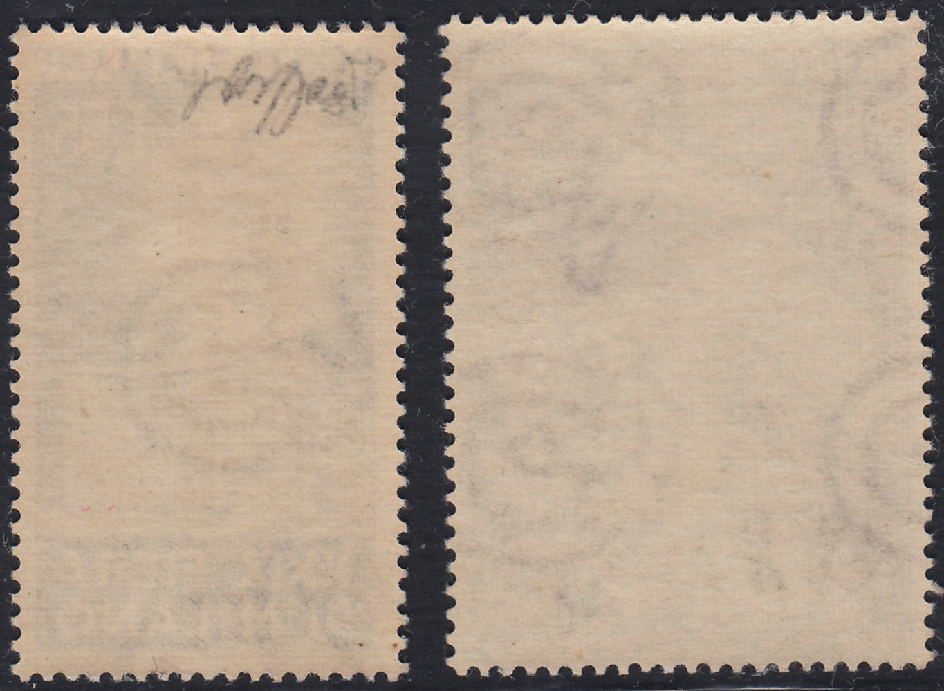 Rep19 - 1949 - 2nd assembly of the World Health Organization, L.20 violet new intact gum (607)