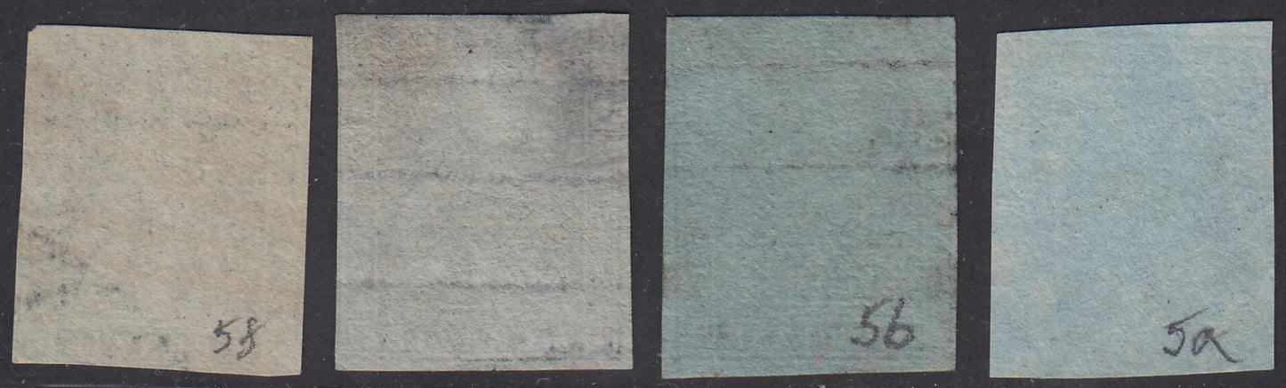 PV1597 - 1851 - Marzocco, 2 crazie lotto di quattro esemplari nei colori azzurro grigio, azzurro vivo, azzurro verdastro su carta azzurra + verde azzurro su carta grigia, usati, (5a, 5b, 5c, 5f).