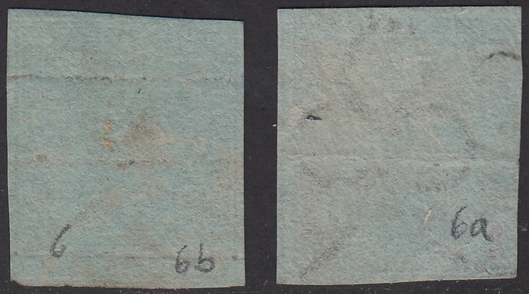 PV1619 - 1851 - Marzocco, 4 crazie due esemplari nei colori verde azzurro e verde scuro su carta azzurra, usati (6a, 6b).