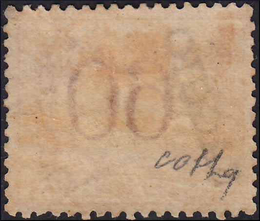 PP1054 - 1870/74 - Segnatasse di Regno c. 60 ocra e carminio con soprastampa SAGGIO, nuovo con piena gomma originale, (10).
