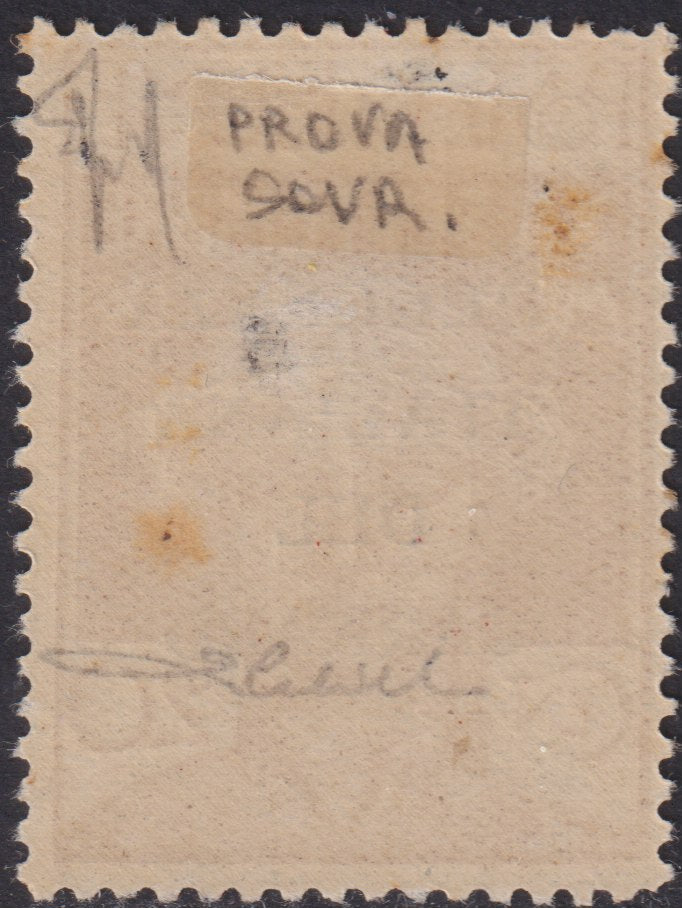 F6_205 - 1920 - Legionari di Fiume con soprastampa REGGENZA ITALIANA DEL CARNARO di prova, c. 20 ocra nuovo con gomma originale (P128)