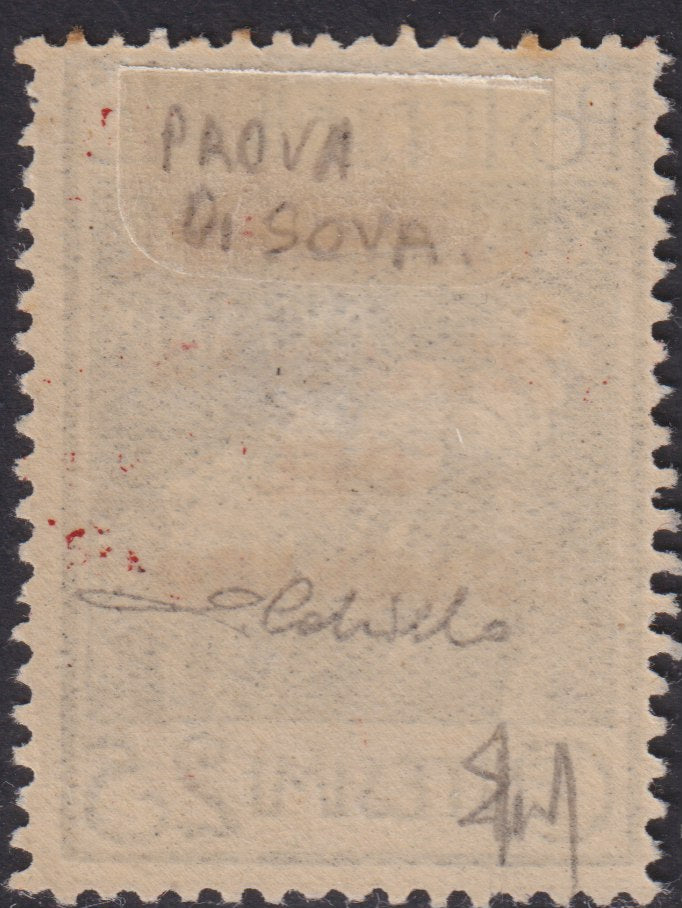 V137 - 1920 - Legionaries of Fiume with overprint REGGENZA ITALIANA DEL CARNARO trial, c. 5 new green with original tire (P133)