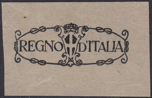 Fiume_274 - 1924 - Regno d'Italia con fregi e stemma, prova di soprastampa dell'espresso.