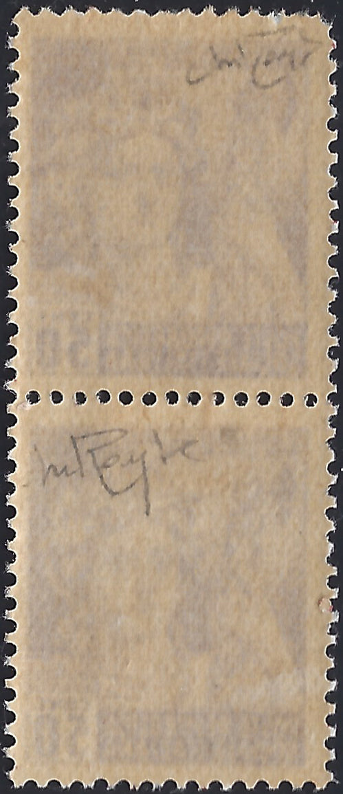 FF6 - 1945 - Monumenti distrutti 50c. violetto coppia verticale di cui uno con soprastampa fortemente spostata in alto e uno senza soprastampa nuova con gomma integra (6d)