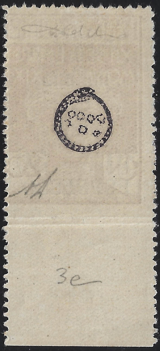 Fiume13 - 1920 - Legionaries of Fiume, c. 30 on c. 20 ocher overprinted Reggenza Italiana del Carnaro and "ESPRESSO", unperforated copy on the bottom, new with intact gum (3e)