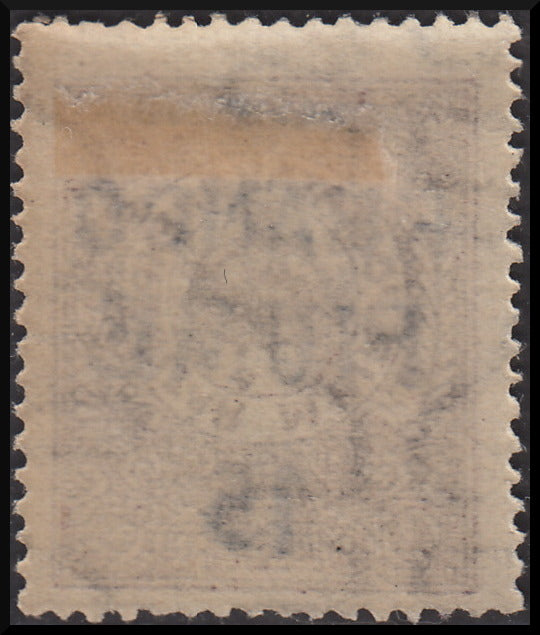 Fiume199 - 1918 - Stamp of the Hungarian Savings Bank overprinted Franco Fiume 15 new original rubber (31).