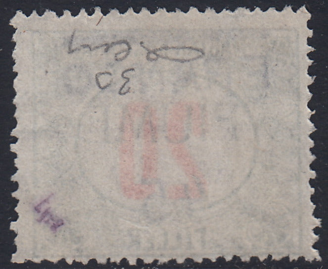 F279 - 1919 - Segnatasse di Fiume soprastampata Franco 45 su 20 filler verde e rosso nuovo senza gomma (30)