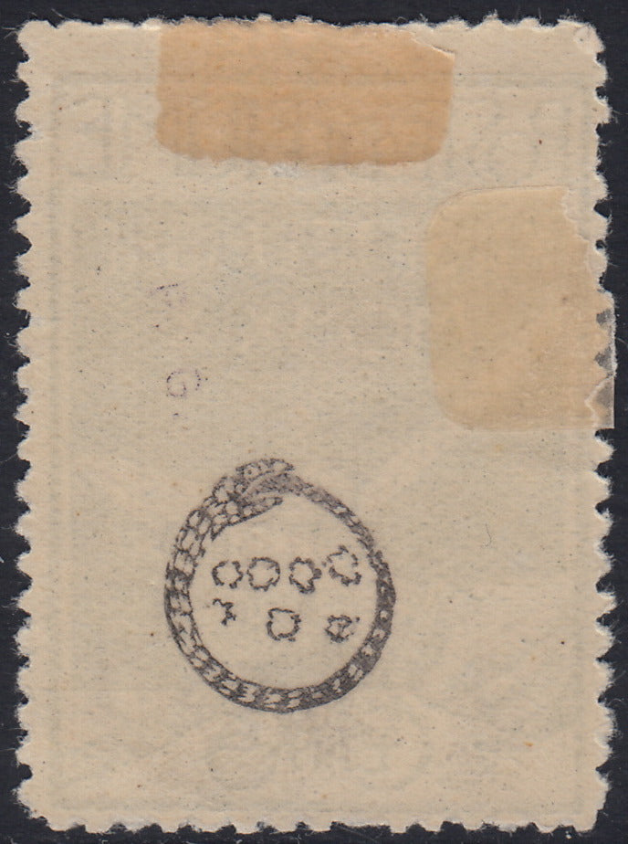 Fiume313 - 1920 - Legionari soprastampati Reggenza Italiana del Carnaro, 2L. su c.5 verde giallo nuovo con gomma (144a)