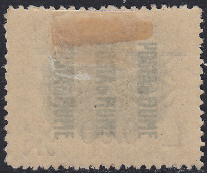 Fiume343 - Francobolli Pro Fondazione Studio soprastampati Valore Globale in caratteri picoli e neretto e Segnatasse, 0,20, 0,60 e 0,80 su oliva, nuovi con gomma  (36/38)