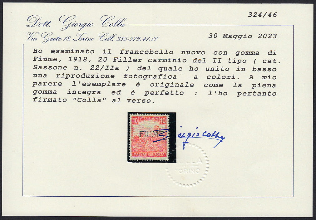 PVN20 - 1918 - Sello de Hungría 10 masilla carmín con sobreimpresión a máquina usada. (8a).